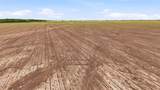 200+ Acres Davis Road - Photo 18