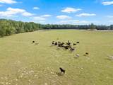 1018 County Road 4287 - Photo 36