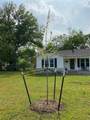 907 Magnolia Avenue - Photo 19