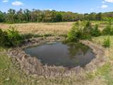 520 Farm Road 71 - Photo 27