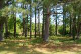 2029 State Highway 294 - Photo 34