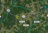 2029 State Highway 294 - Photo 39