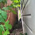 1608 Coleman Street - Photo 25