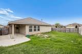 14601 Sundog Way - Photo 24