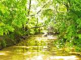 TBD County Road 165 - Photo 12