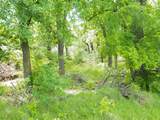 TBD County Road 165 - Photo 17