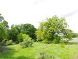 TBD County Road 165 - Photo 19