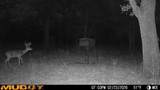 TBD Hwy 254 Highway - Photo 25