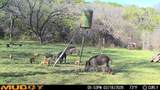 TBD Hwy 254 Highway - Photo 29