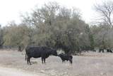 TBD Hwy 254 Highway - Photo 31