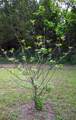 TBD County Rd 663 - Photo 19
