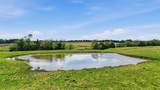 562 Lazy S Ranch Road - Photo 23