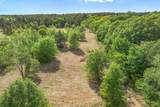 00 Hwy 69 - Photo 11