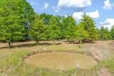 00 Hwy 69 - Photo 5