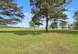 9747 Mathieu Street - Photo 4
