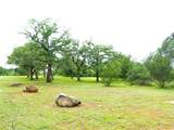 12725 County Road 105 - Photo 24