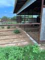 1661 County Road 195 - Photo 19