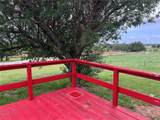 1661 County Road 195 - Photo 39