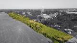 404 Alton Street - Photo 1
