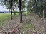 401 Meandering Way - Photo 13