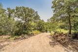 8955 Wolf Hollow - Photo 23