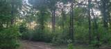 TBD County Road 430 - Photo 15
