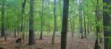 TBD County Road 430 - Photo 23