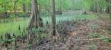 TBD County Road 430 - Photo 25