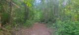TBD County Road 430 - Photo 28