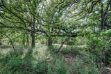 Lot 8 Red Oak Hills Road - Photo 19