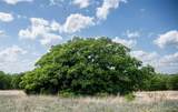 Lot 8 Red Oak Hills Road - Photo 25