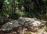 Lot 8 Red Oak Hills Road - Photo 30