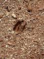Lot 8 Red Oak Hills Road - Photo 40