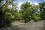 Lot 8 Red Oak Hills Road - Photo 7