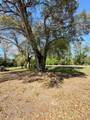 3134 Highway 507 - Photo 12
