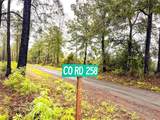 3 Cr 257 - Photo 14