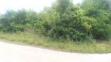 5643 Black Pine Circle - Photo 4