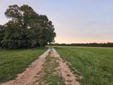 10860 Farm Road 197 - Photo 39