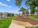 2105 Blackcap Street - Photo 32