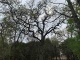1039 Creek Crossing Road - Photo 26