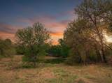 1039 Creek Crossing Road - Photo 5