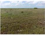 TBD County Road 257 - Photo 5