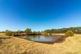 13733 County Road 109 - Photo 29