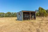 13733 County Road 109 - Photo 30