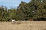 13733 County Road 109 - Photo 35