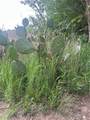 TBD Hcr 3352 - Photo 7
