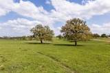 730 County Road 226A - Photo 29