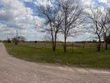 4547 Macs Trail - Photo 6