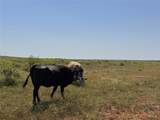 Lot 30 High Plains Trail - Photo 8