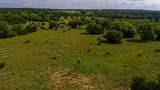 TBD County Road 105 - Photo 15